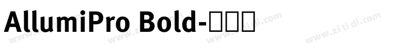 AllumiPro Bold字体转换